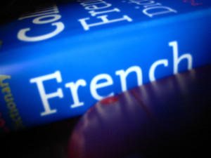 Francia fordítás